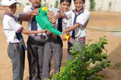 Environment-6