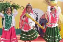 Haryana-Day-10