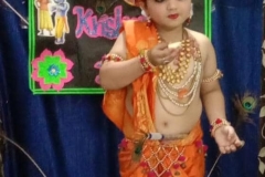Janmasthmi-9