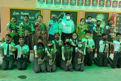 Tree-Plantation-1