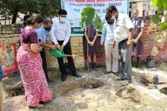 Tree-Plantation-3