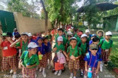 summar-camp-2