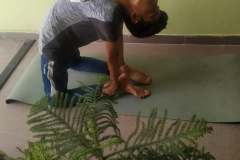Yoga-Day-5