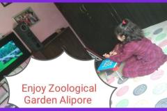 Zoological-Park-2