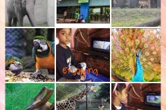 Zoological-Park-4